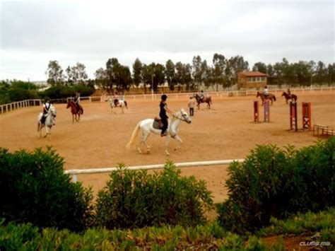 club equestre mohammedia